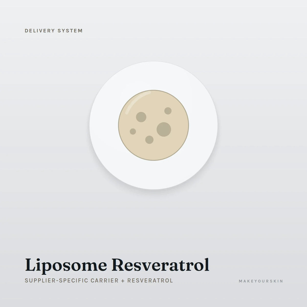 Liposome Resveratrol (Supplier-specific carrier + Resveratrol) — dispersion, Global — MakeYourSkin
