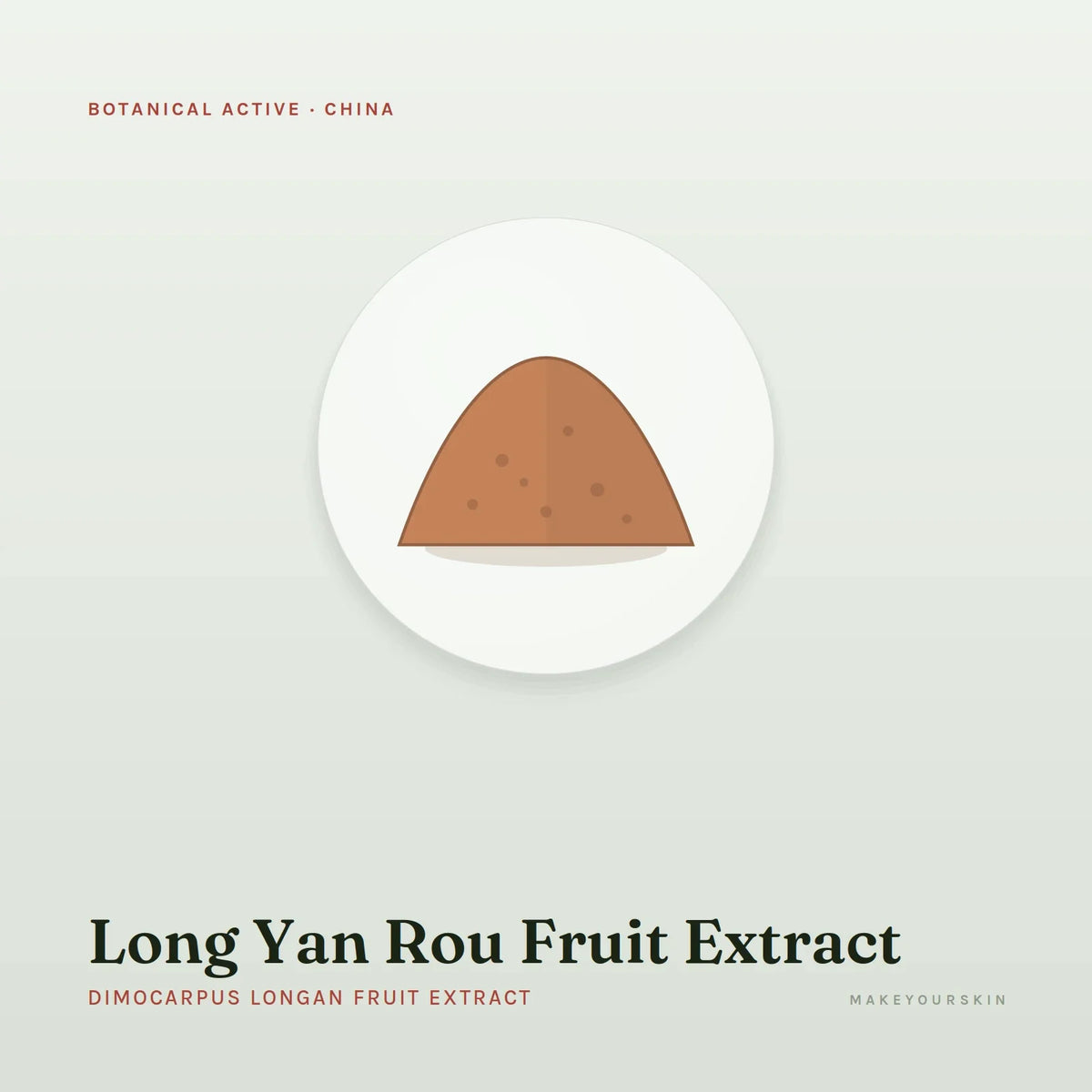 Long Yan Rou Fruit Extract (Dimocarpus Longan Fruit Extract) — powder, China · TCM — MakeYourSkin