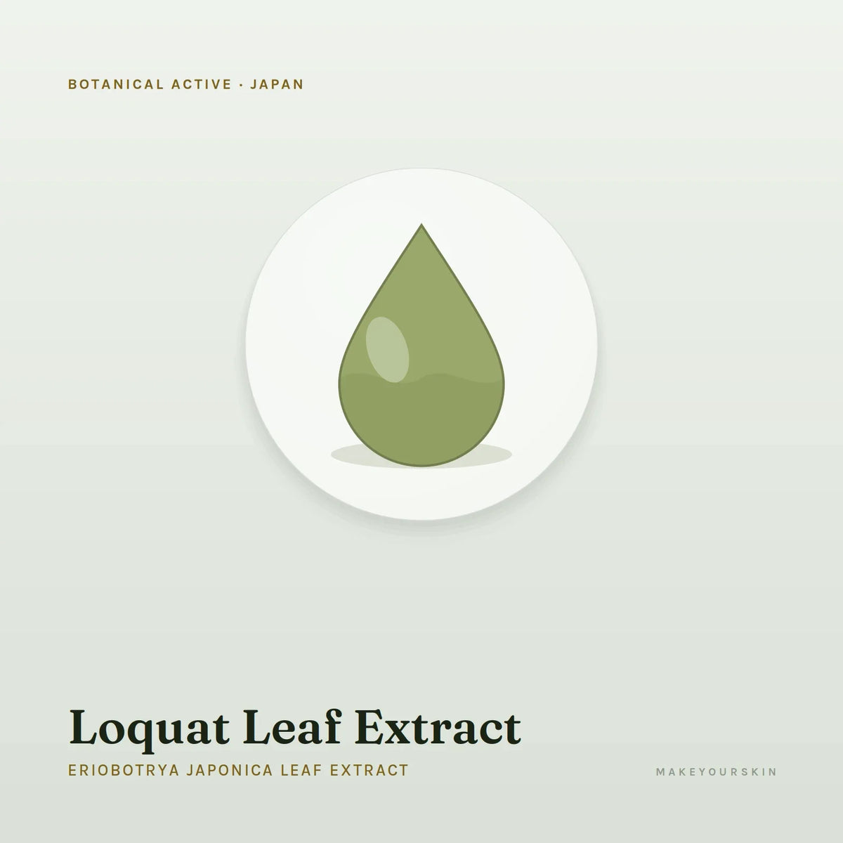 Loquat Leaf Extract (Eriobotrya Japonica Leaf Extract) — liquid, Japan · J-Beauty — MakeYourSkin
