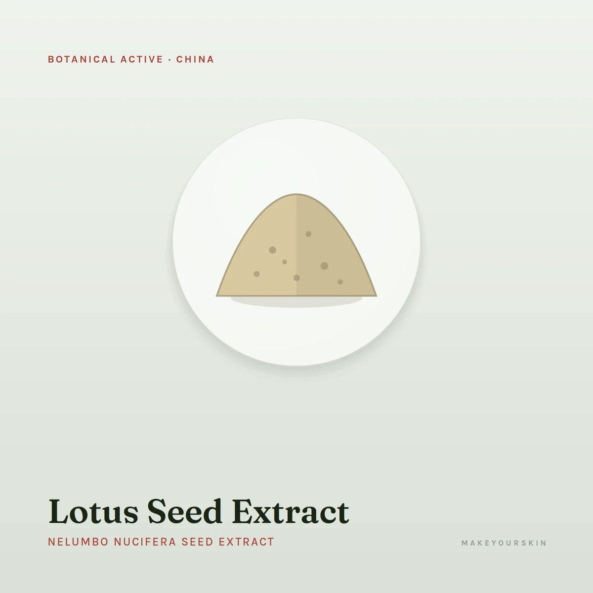 Lotus Seed Extract (Nelumbo Nucifera Seed Extract) — powder, China · TCM — MakeYourSkin