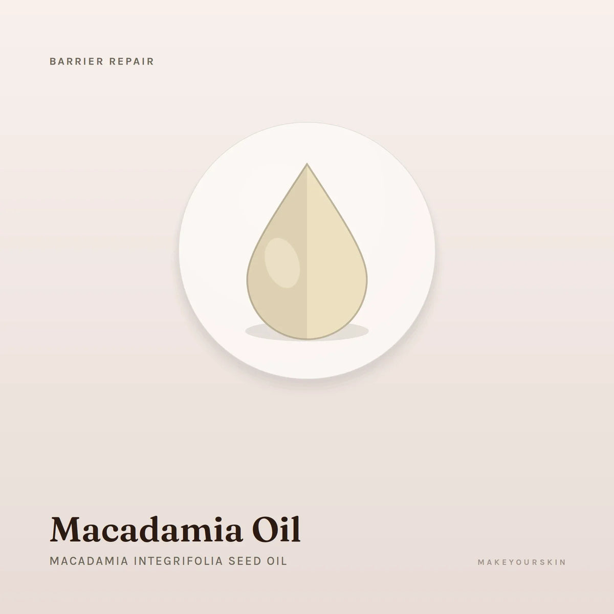 Macadamia Oil (Macadamia Integrifolia Seed Oil) — oil, Global — MakeYourSkin