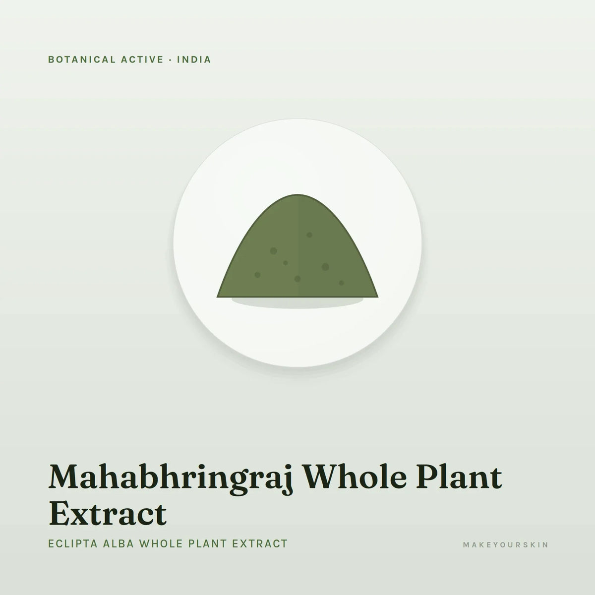Mahabhringraj Whole Plant Extract (Eclipta Alba Whole Plant Extract) — powder, India · Ayurveda — MakeYourSkin