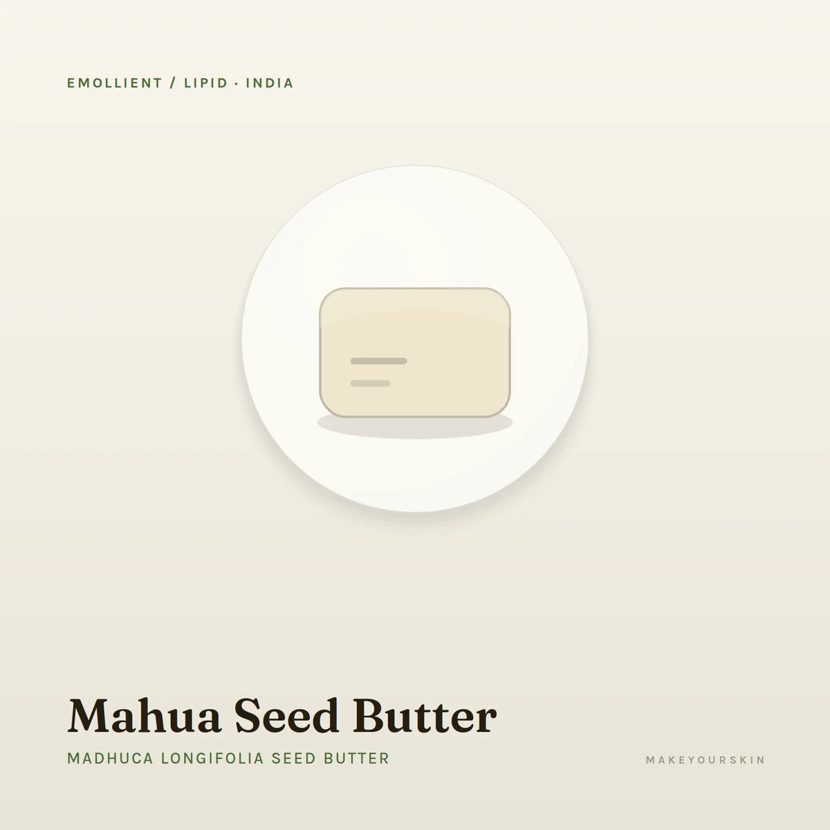 Mahua Seed Butter (Madhuca Longifolia Seed Butter) — butter, India · Ayurveda — MakeYourSkin