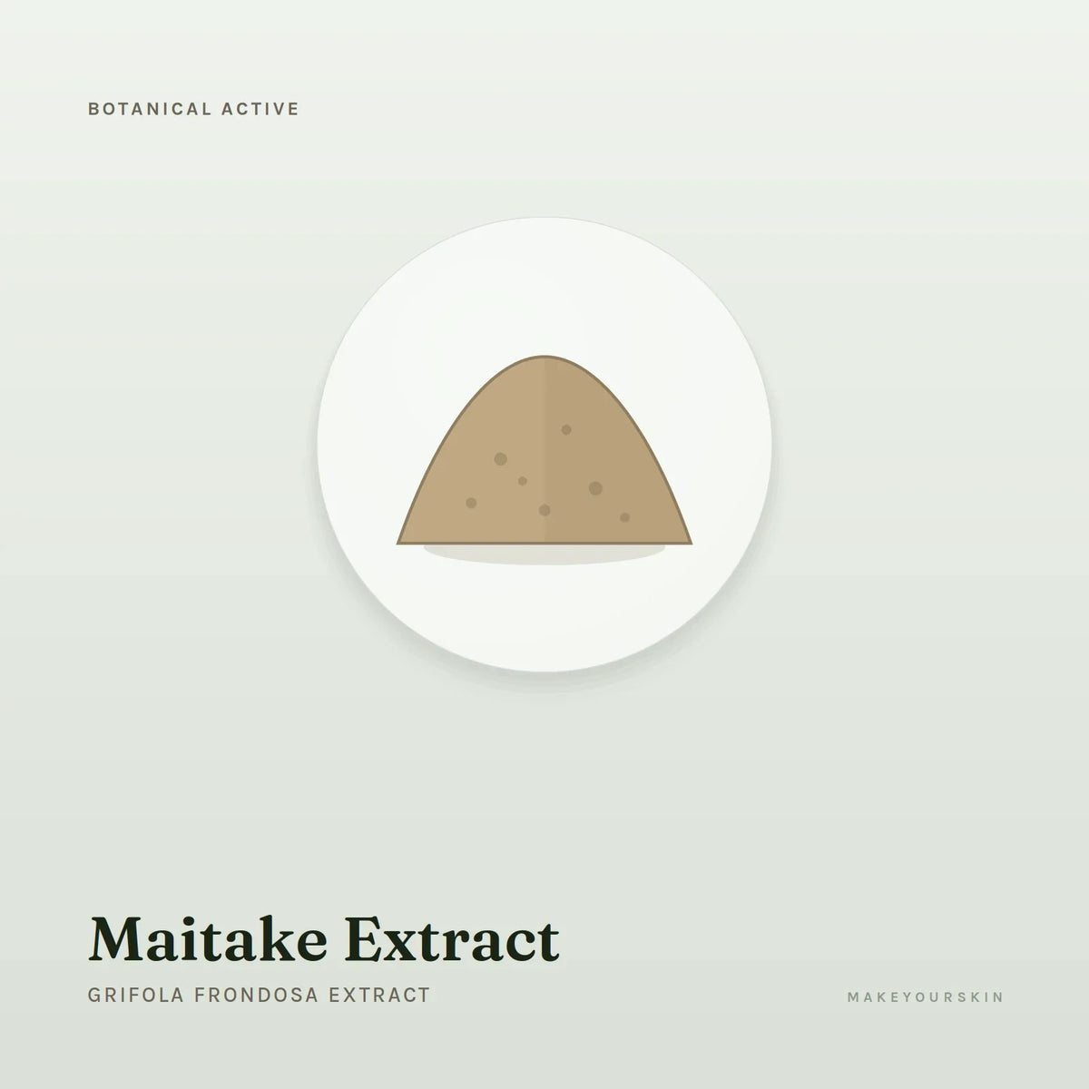 Maitake Extract (Grifola Frondosa Extract) — powder, Global — MakeYourSkin