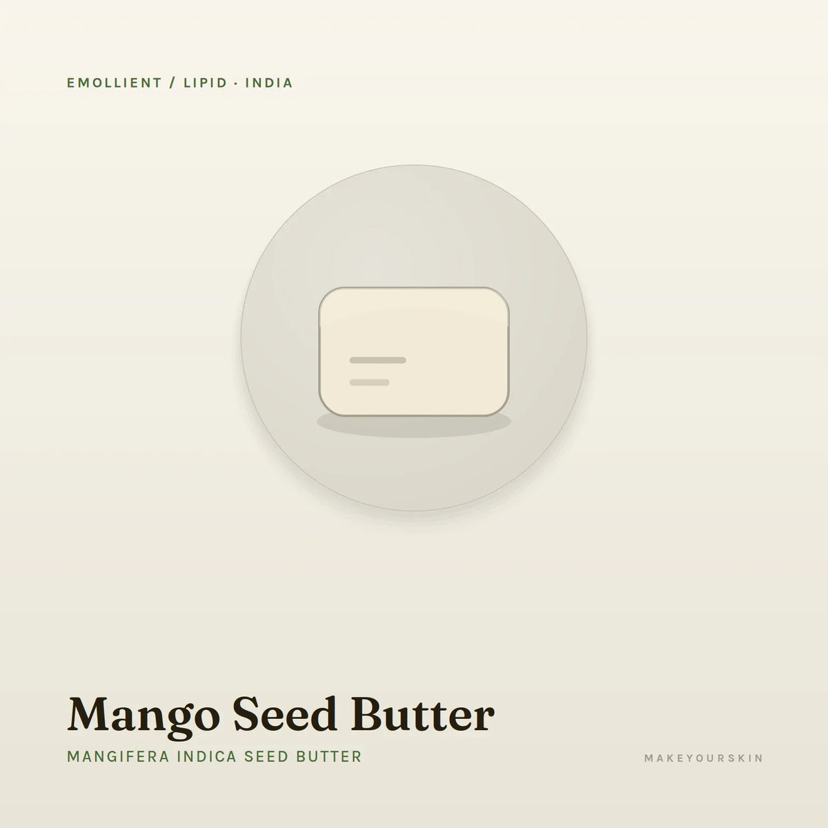 Mango Seed Butter (Mangifera Indica Seed Butter) — butter, India · Ayurveda — MakeYourSkin