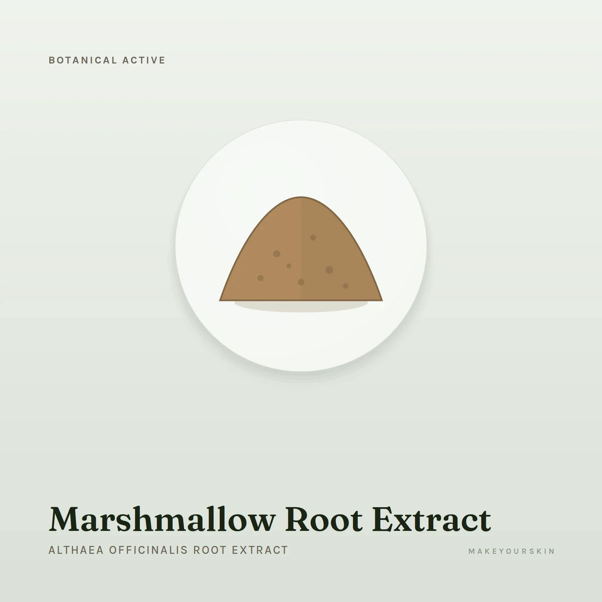 Marshmallow Root Extract (Althaea Officinalis Root Extract) — powder, Global — MakeYourSkin