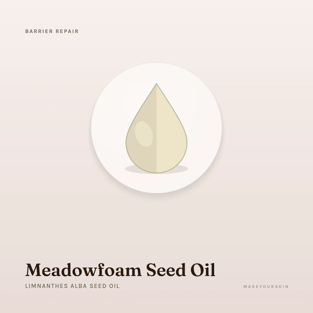 Meadowfoam Seed Oil (Limnanthes Alba Seed Oil) — oil, Global — MakeYourSkin