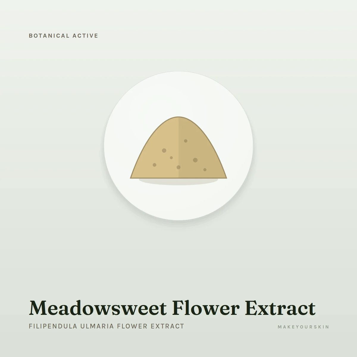 Meadowsweet Flower Extract (Filipendula Ulmaria Flower Extract) — powder, Global — MakeYourSkin