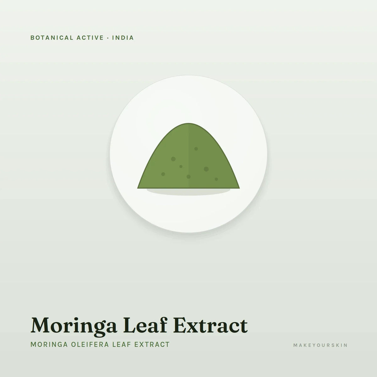 Moringa Leaf Extract (Moringa Oleifera Leaf Extract) — powder, India · Ayurveda — MakeYourSkin