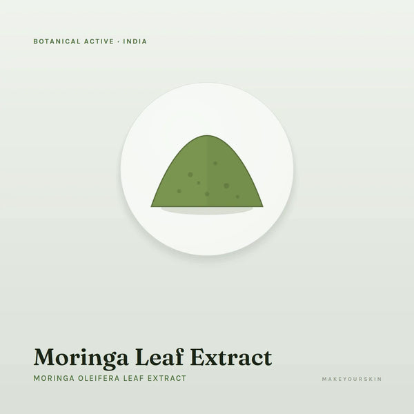 Moringa Leaf Extract (Moringa Oleifera Leaf Extract) — powder, India · Ayurveda — MakeYourSkin