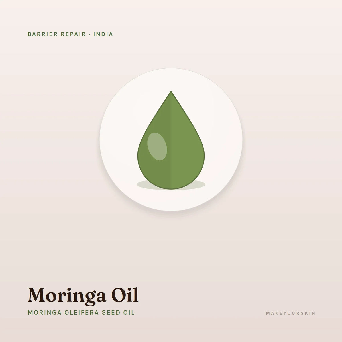 Moringa Oil (Moringa Oleifera Seed Oil) — oil, India · Ayurveda — MakeYourSkin
