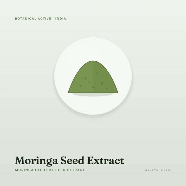 Moringa Seed Extract (Moringa Oleifera Seed Extract) — powder, India · Ayurveda — MakeYourSkin