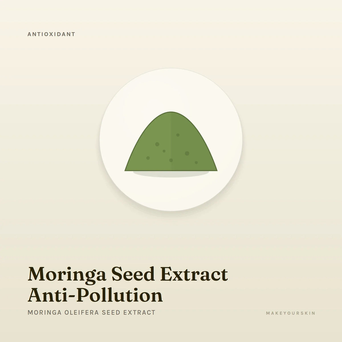 Moringa Seed Extract Anti-Pollution (Moringa Oleifera Seed Extract) — powder, Global — MakeYourSkin