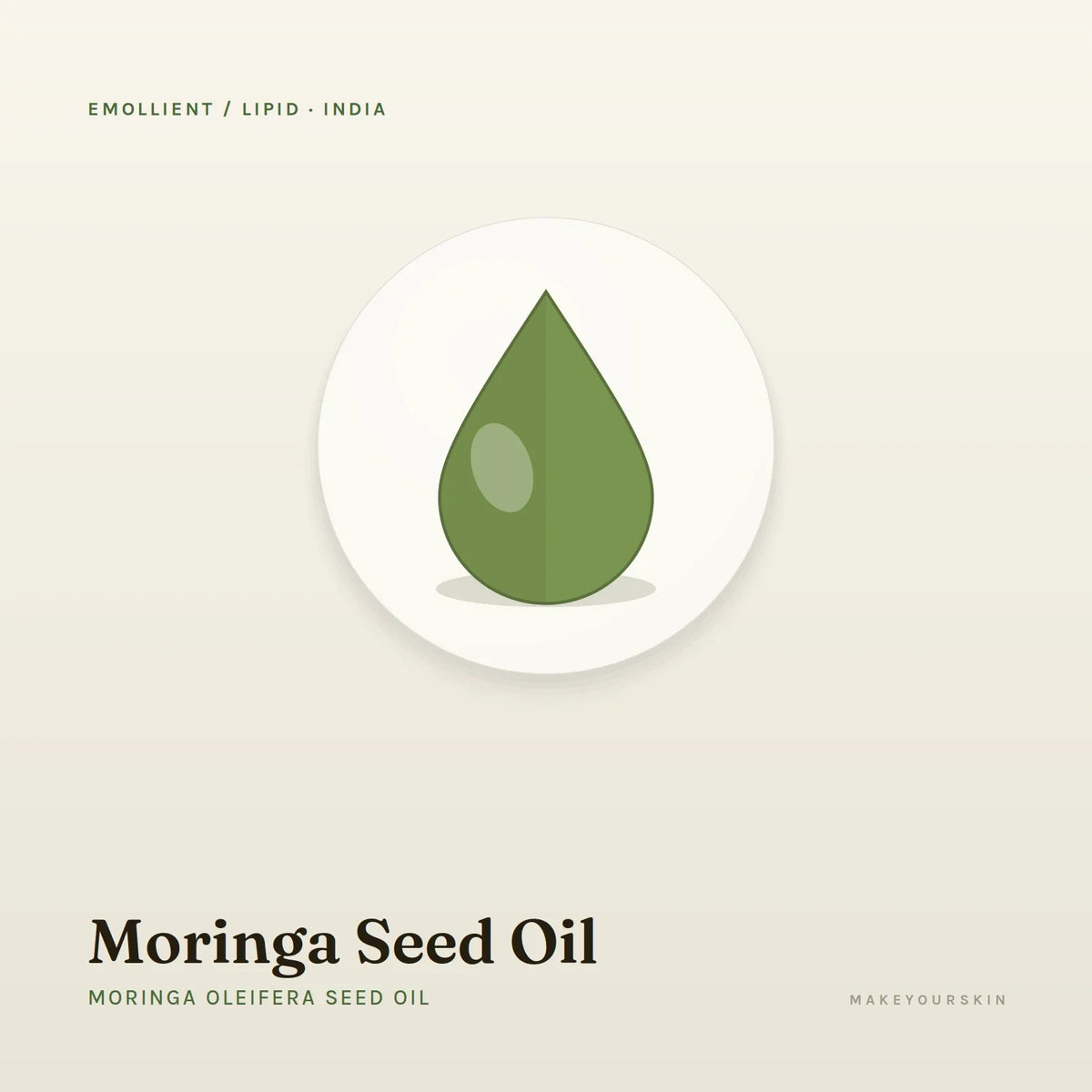 Moringa Seed Oil (Moringa Oleifera Seed Oil) — oil, India · Ayurveda — MakeYourSkin