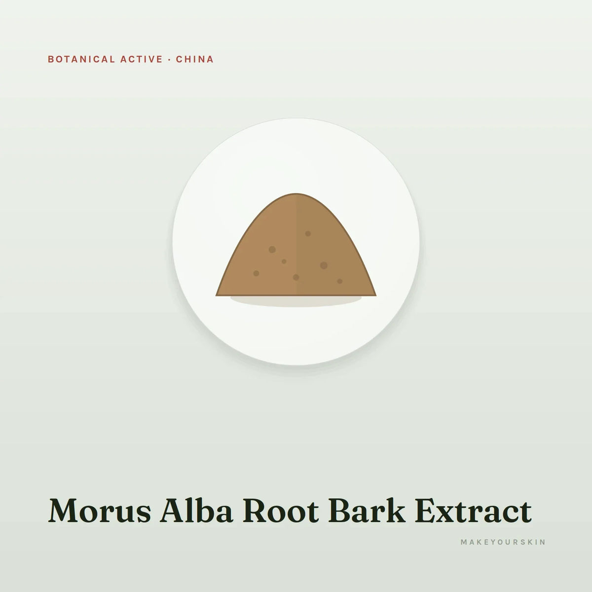 Morus Alba Root Bark Extract — powder, China · TCM — MakeYourSkin