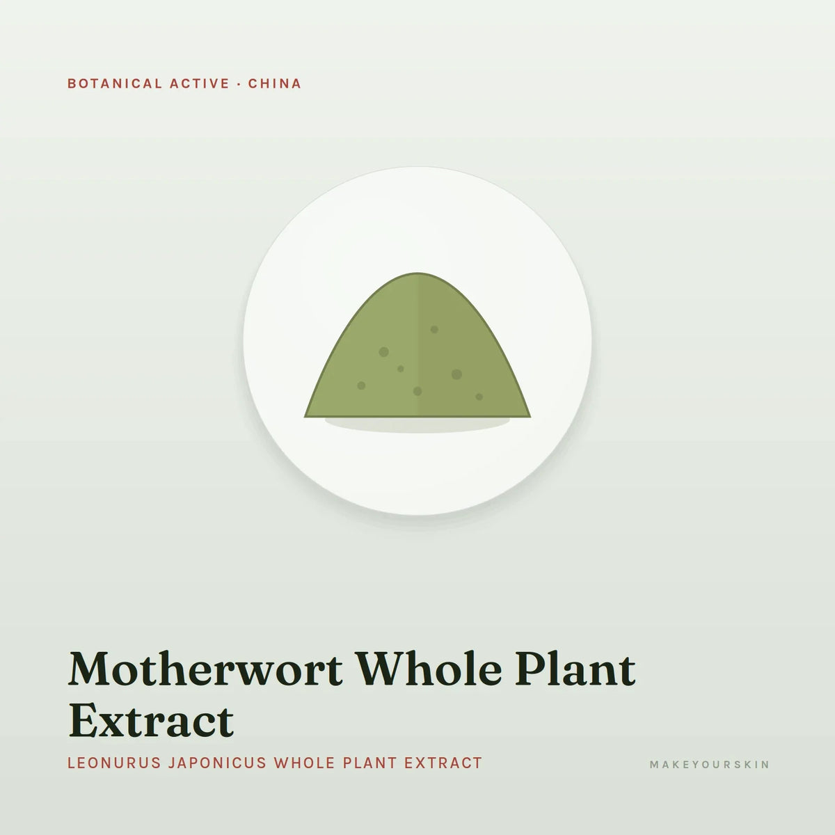 Motherwort Whole Plant Extract (Leonurus Japonicus Whole Plant Extract) — powder, China · TCM — MakeYourSkin