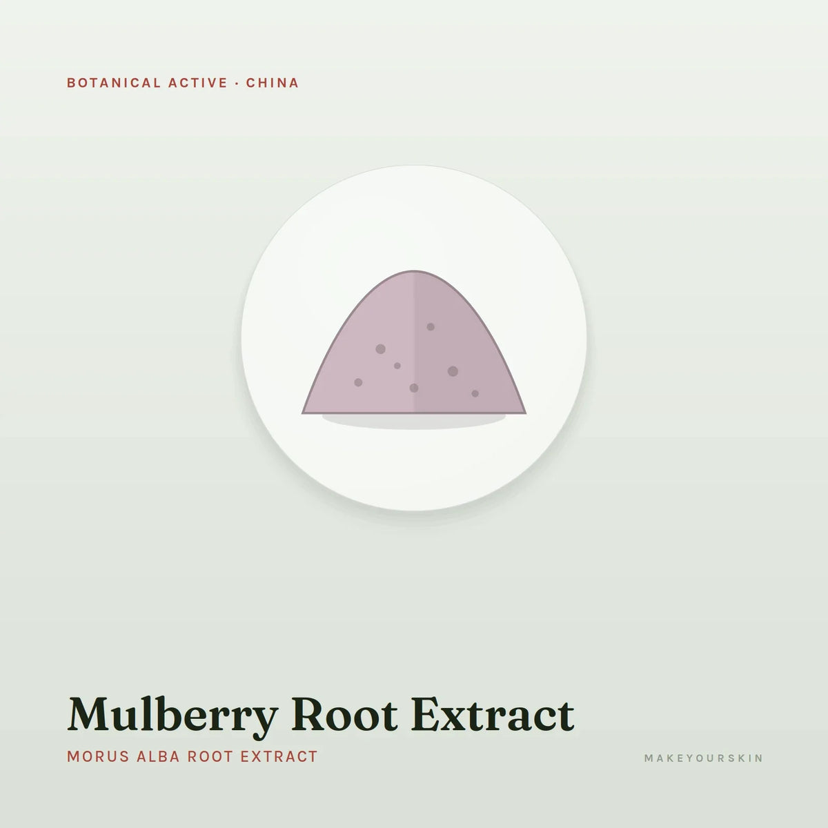 Mulberry Root Extract (Morus Alba Root Extract) — powder, China · TCM — MakeYourSkin