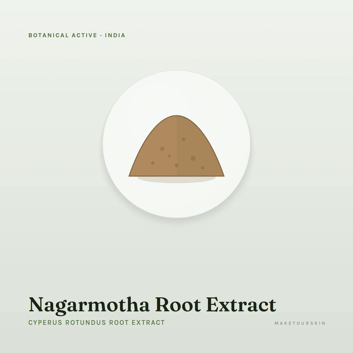 Nagarmotha Root Extract (Cyperus Rotundus Root Extract) — powder, India · Ayurveda — MakeYourSkin