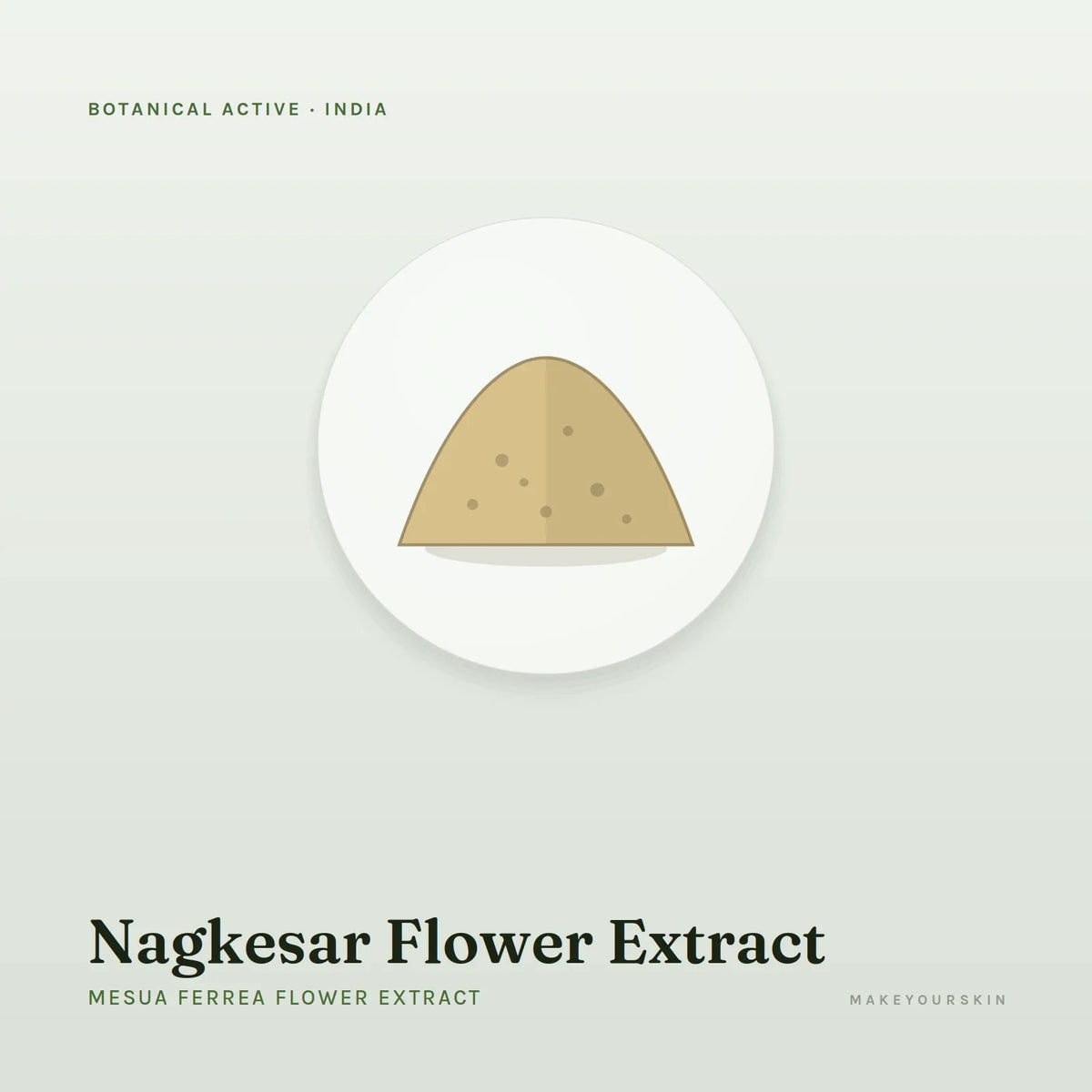 Nagkesar Flower Extract (Mesua Ferrea Flower Extract) — powder, India · Ayurveda — MakeYourSkin