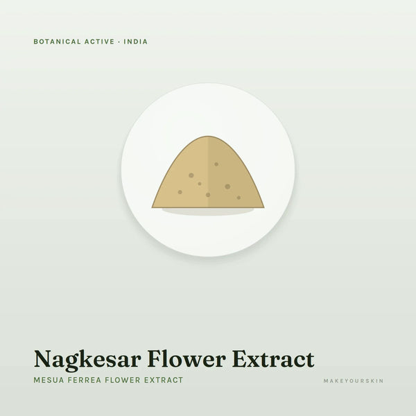 Nagkesar Flower Extract (Mesua Ferrea Flower Extract) — powder, India · Ayurveda — MakeYourSkin