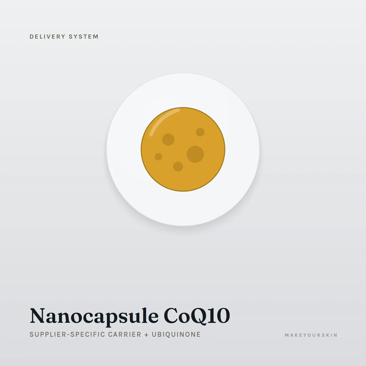 Nanocapsule CoQ10 (Supplier-specific carrier + Ubiquinone) — dispersion, Global — MakeYourSkin