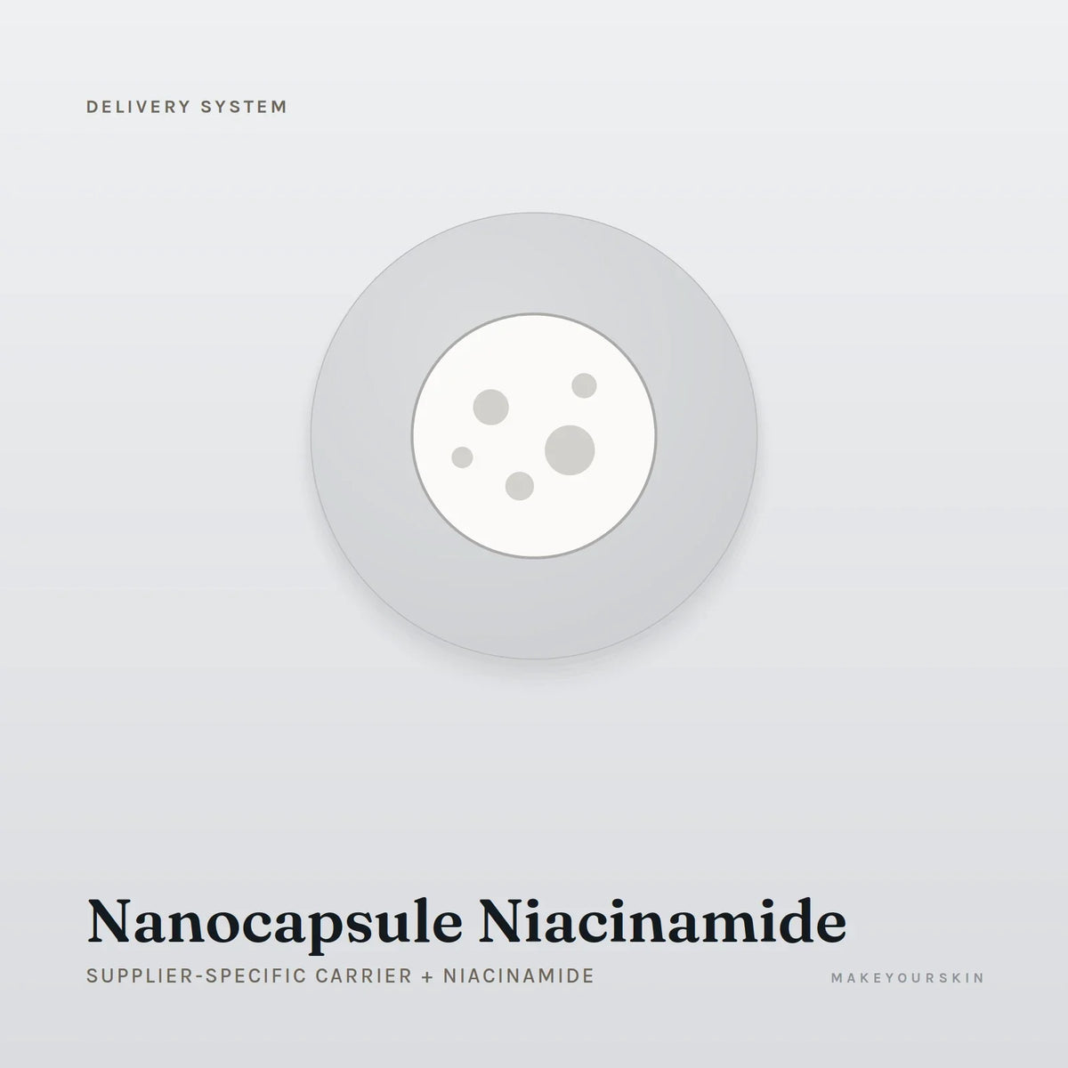 Nanocapsule Niacinamide (Supplier-specific carrier + Niacinamide) — dispersion, Global — MakeYourSkin