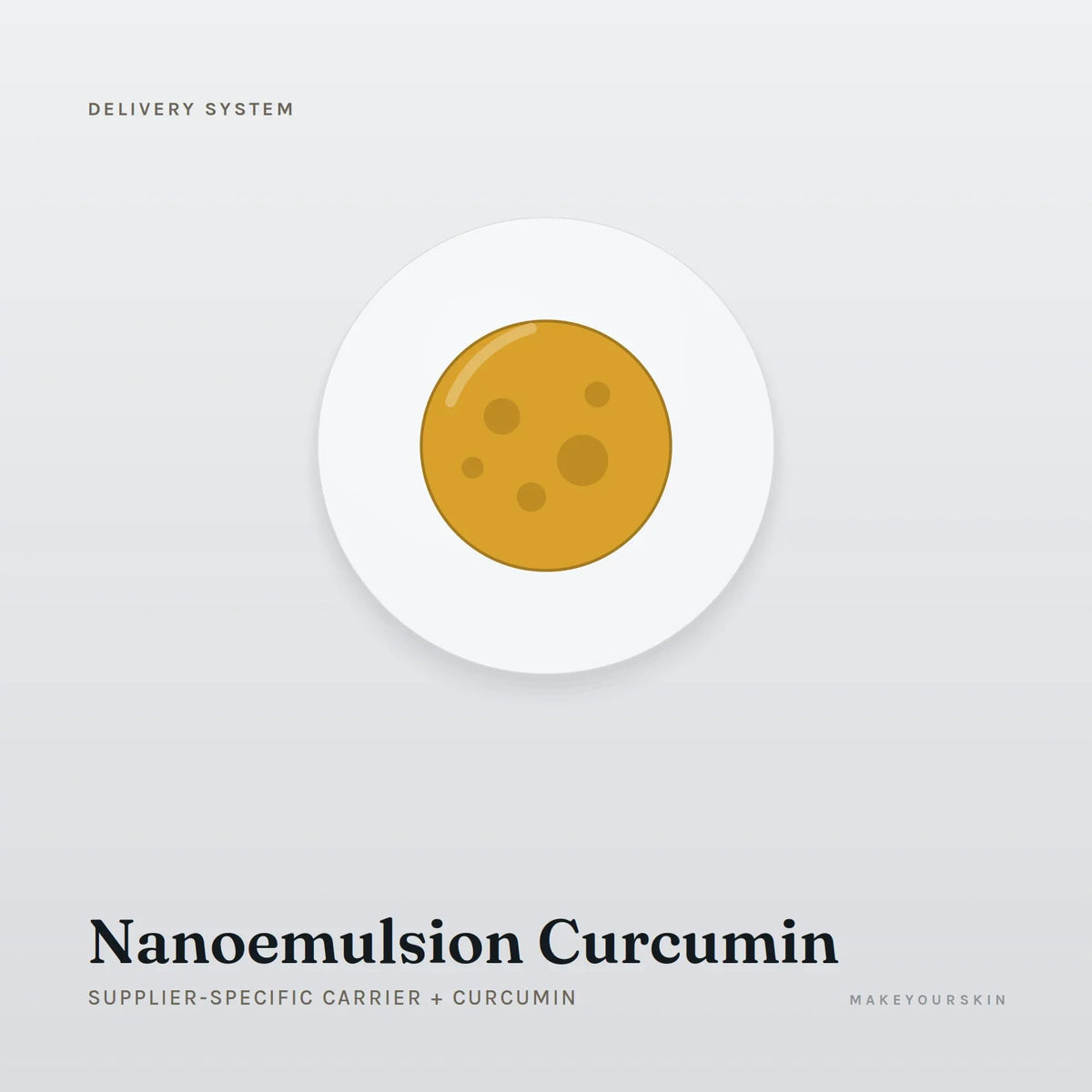 Nanoemulsion Curcumin (Supplier-specific carrier + Curcumin) — dispersion, Global — MakeYourSkin