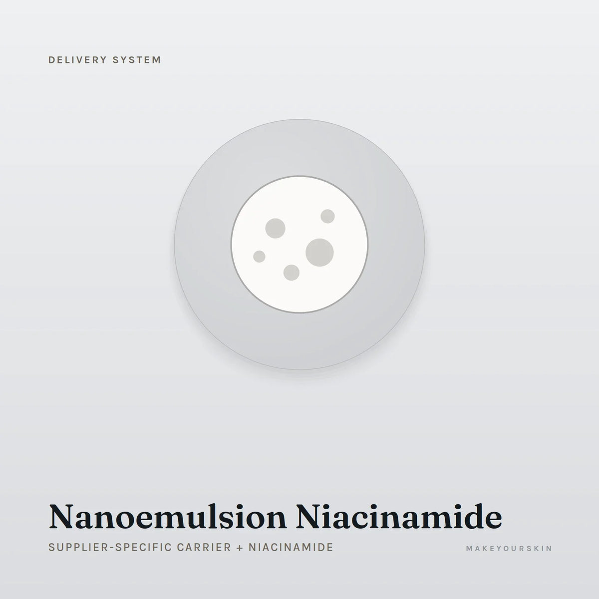 Nanoemulsion Niacinamide (Supplier-specific carrier + Niacinamide) — dispersion, Global — MakeYourSkin