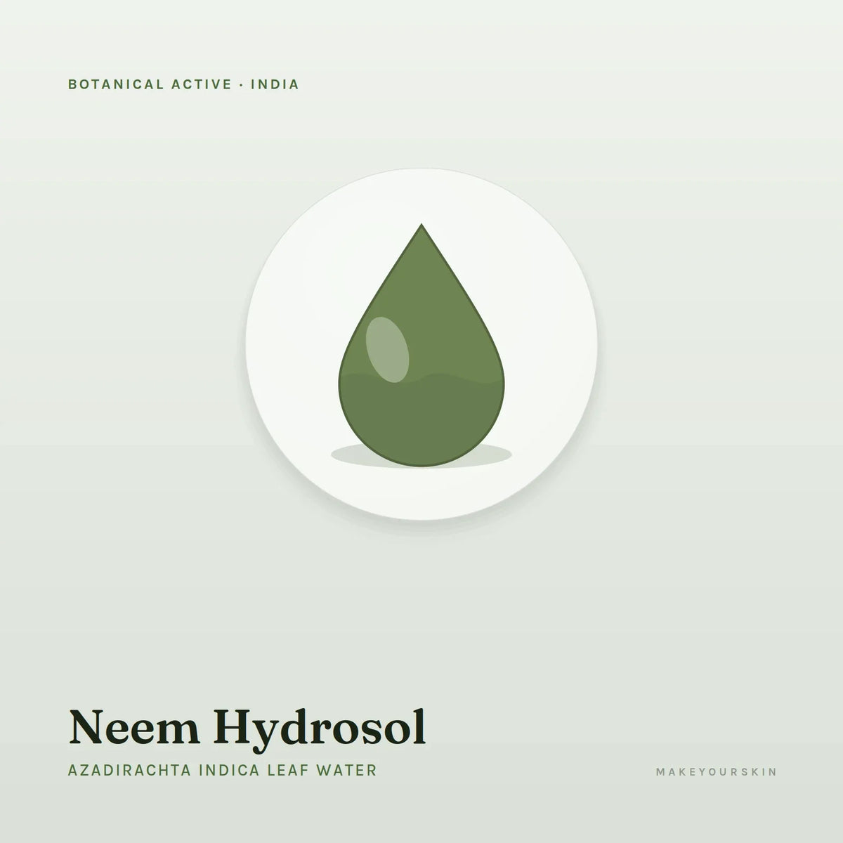 Neem Hydrosol (Azadirachta Indica Leaf Water) — liquid, India · Ayurveda — MakeYourSkin