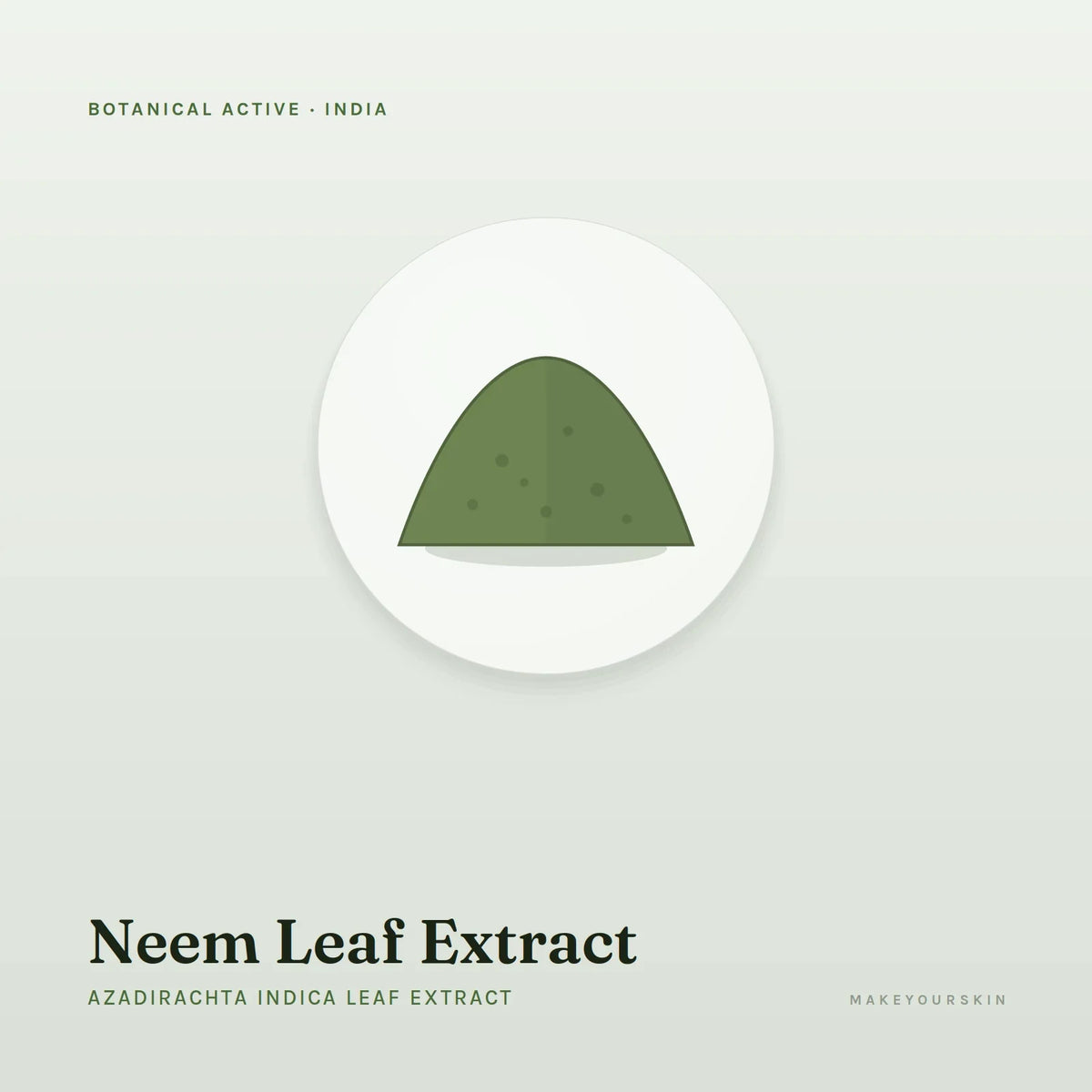 Neem Leaf Extract (Azadirachta Indica Leaf Extract) — powder, India · Ayurveda — MakeYourSkin