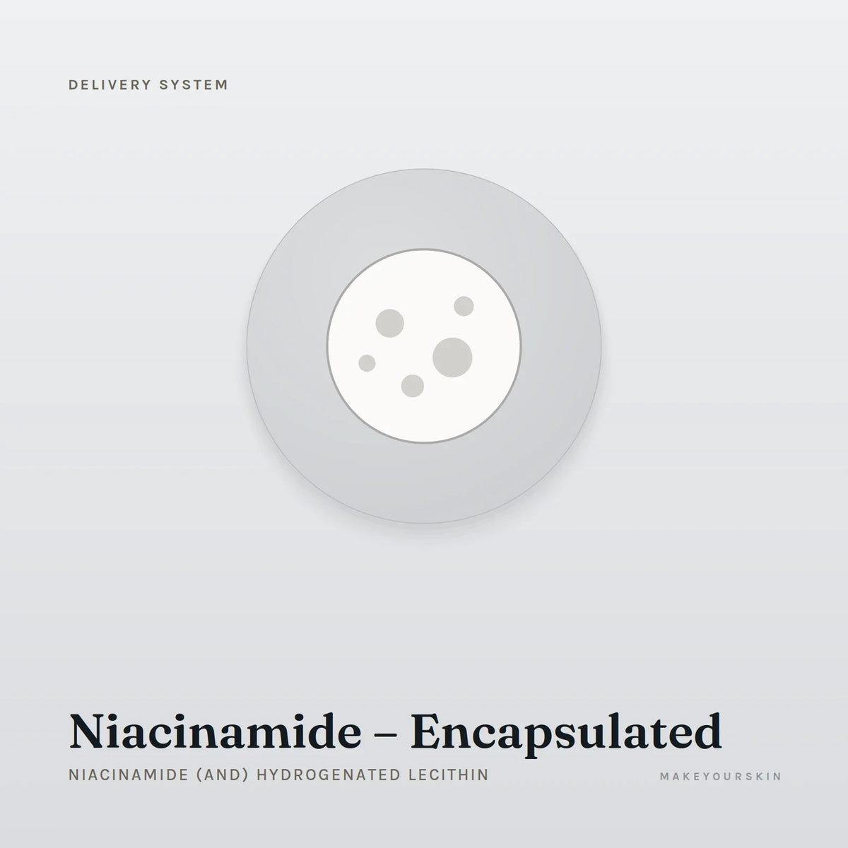 Niacinamide – Encapsulated (Niacinamide (and) Hydrogenated Lecithin) — dispersion, Global — MakeYourSkin