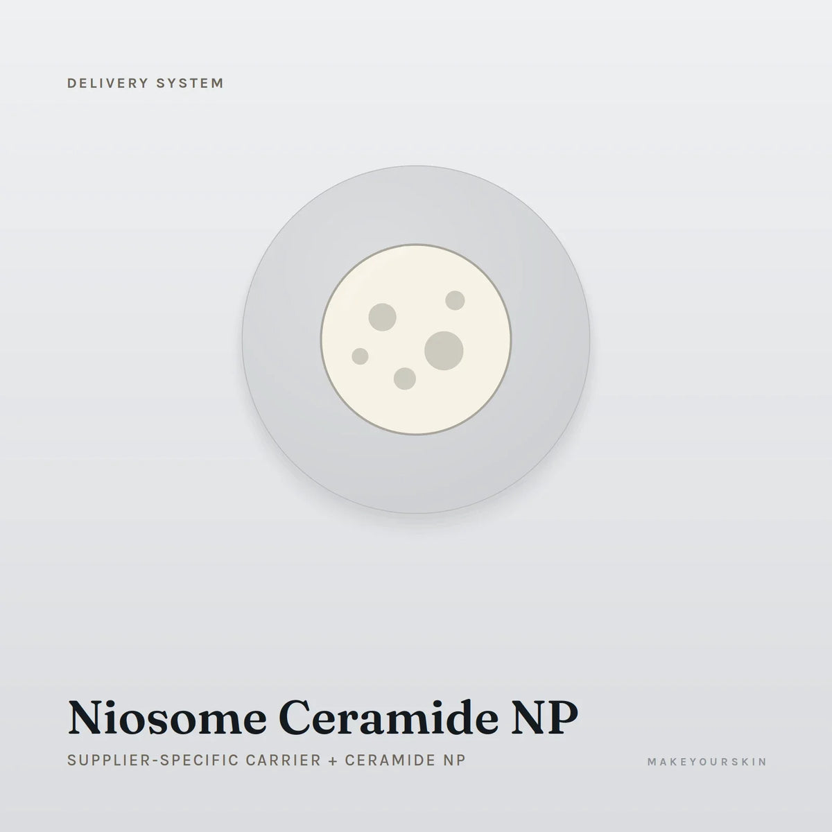 Niosome Ceramide NP (Supplier-specific carrier + Ceramide NP) — dispersion, Global — MakeYourSkin