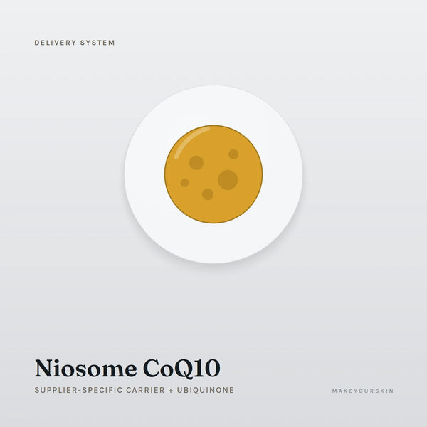 Niosome CoQ10 (Supplier-specific carrier + Ubiquinone) — dispersion, Global — MakeYourSkin