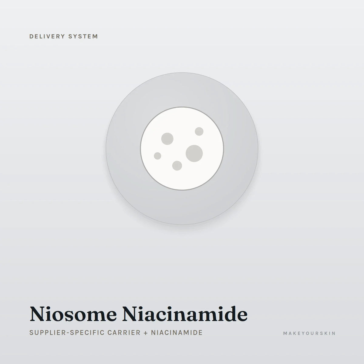 Niosome Niacinamide (Supplier-specific carrier + Niacinamide) — dispersion, Global — MakeYourSkin