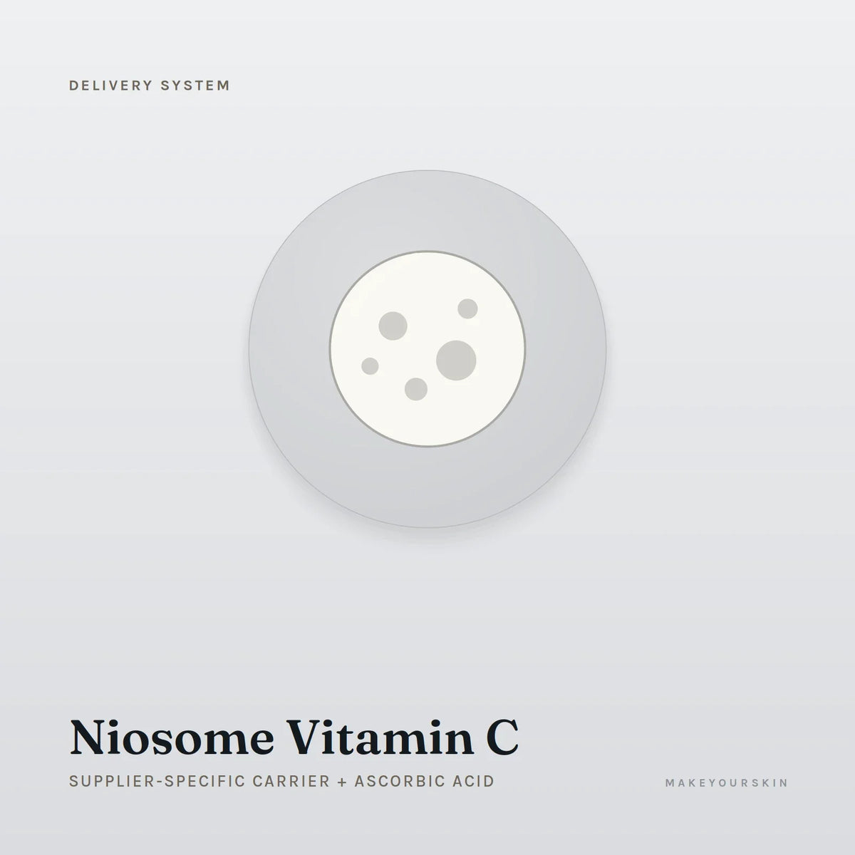 Niosome Vitamin C (Supplier-specific carrier + Ascorbic Acid) — dispersion, Global — MakeYourSkin