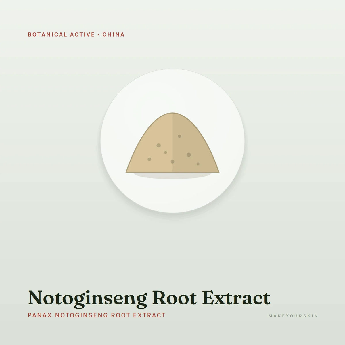 Notoginseng Root Extract (Panax Notoginseng Root Extract) — powder, China · TCM — MakeYourSkin