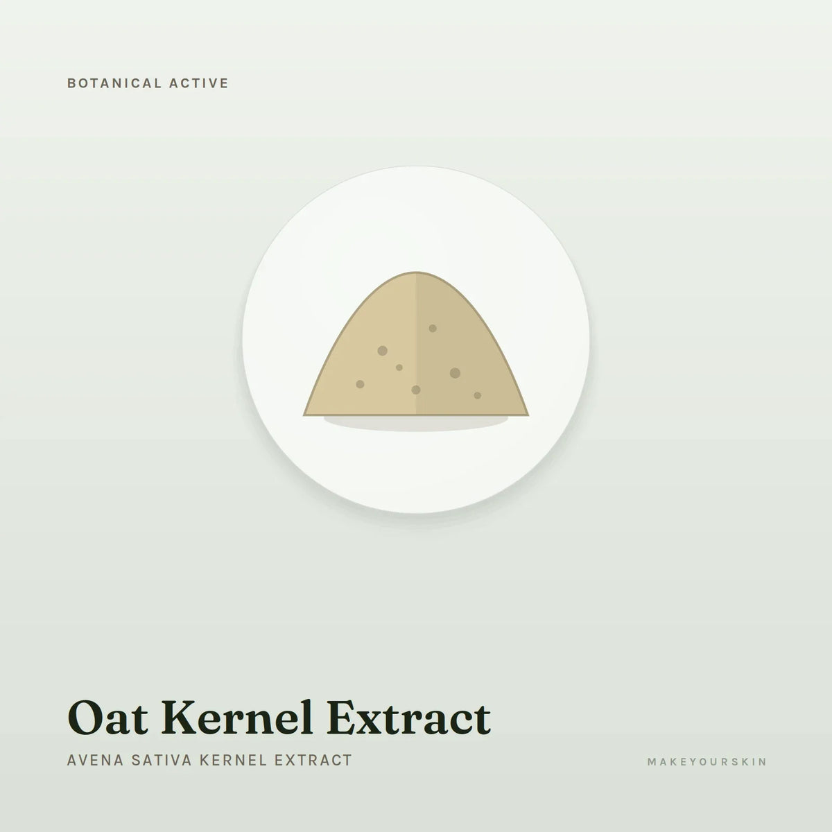Oat Kernel Extract (Avena Sativa Kernel Extract) — powder, Global — MakeYourSkin