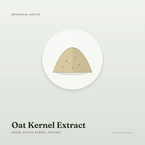 Oat Kernel Extract (Avena Sativa Kernel Extract) — powder, Global — MakeYourSkin