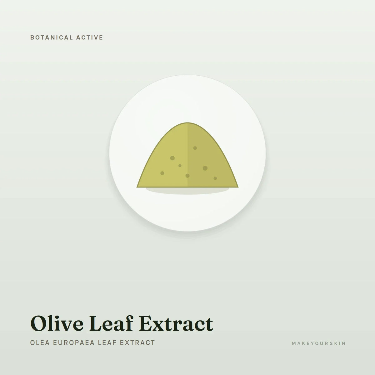 Olive Leaf Extract (Olea Europaea Leaf Extract) — powder, Global — MakeYourSkin