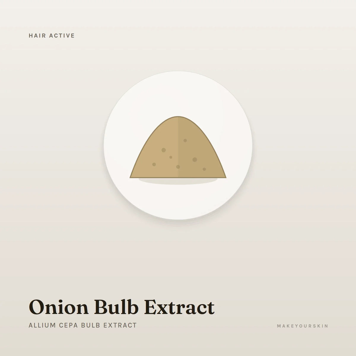 Onion Bulb Extract (Allium Cepa Bulb Extract) — powder, Global — MakeYourSkin