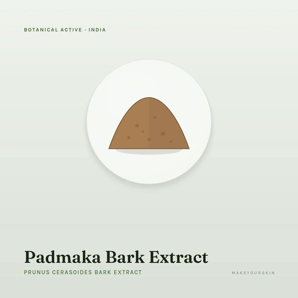 Padmaka Bark Extract (Prunus Cerasoides Bark Extract) — powder, India · Ayurveda — MakeYourSkin