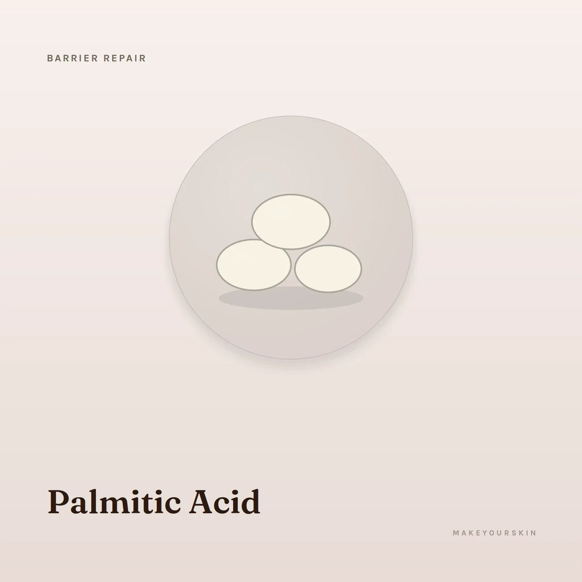 Palmitic Acid — wax / solid, Global — MakeYourSkin