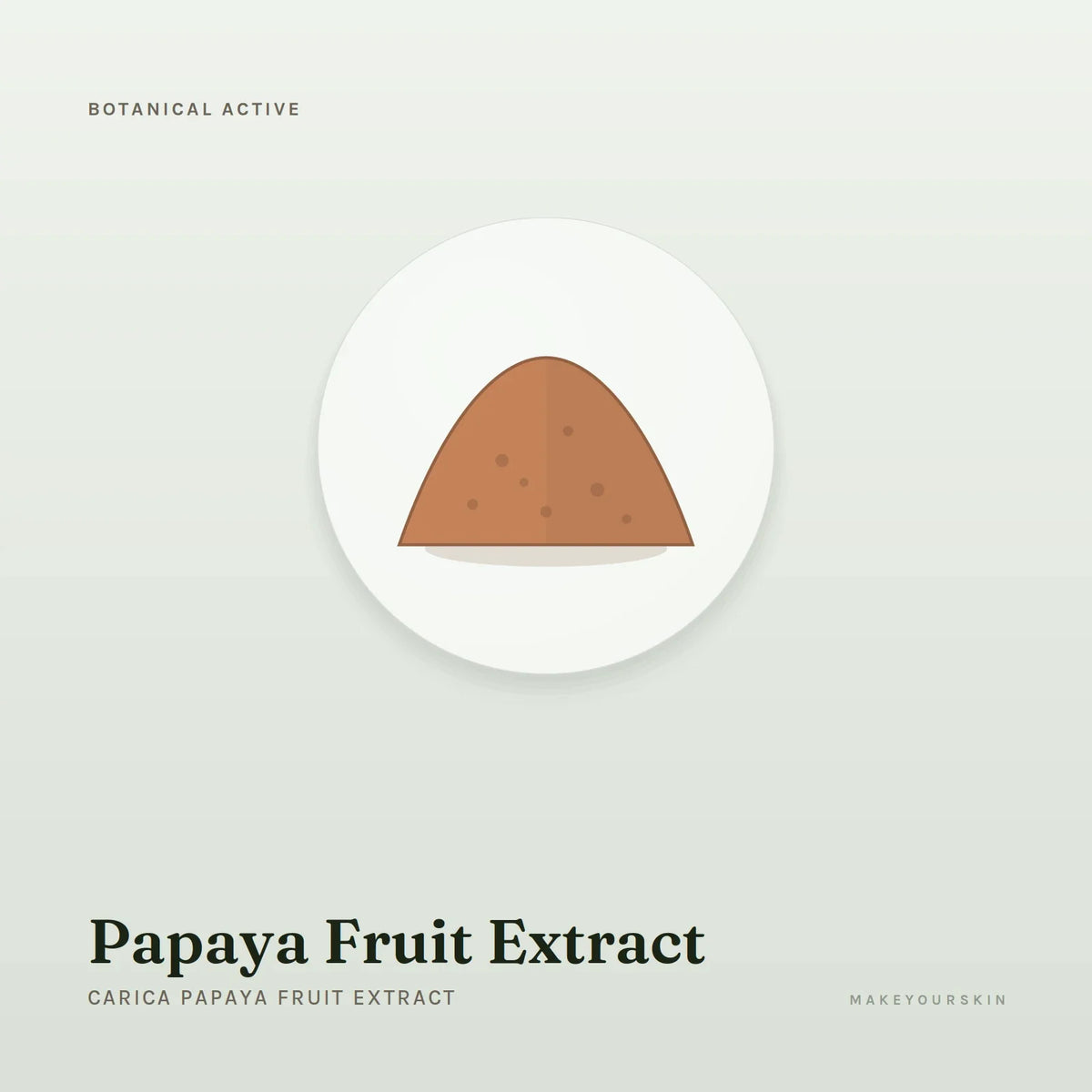Papaya Fruit Extract (Carica Papaya Fruit Extract) — powder, Global — MakeYourSkin