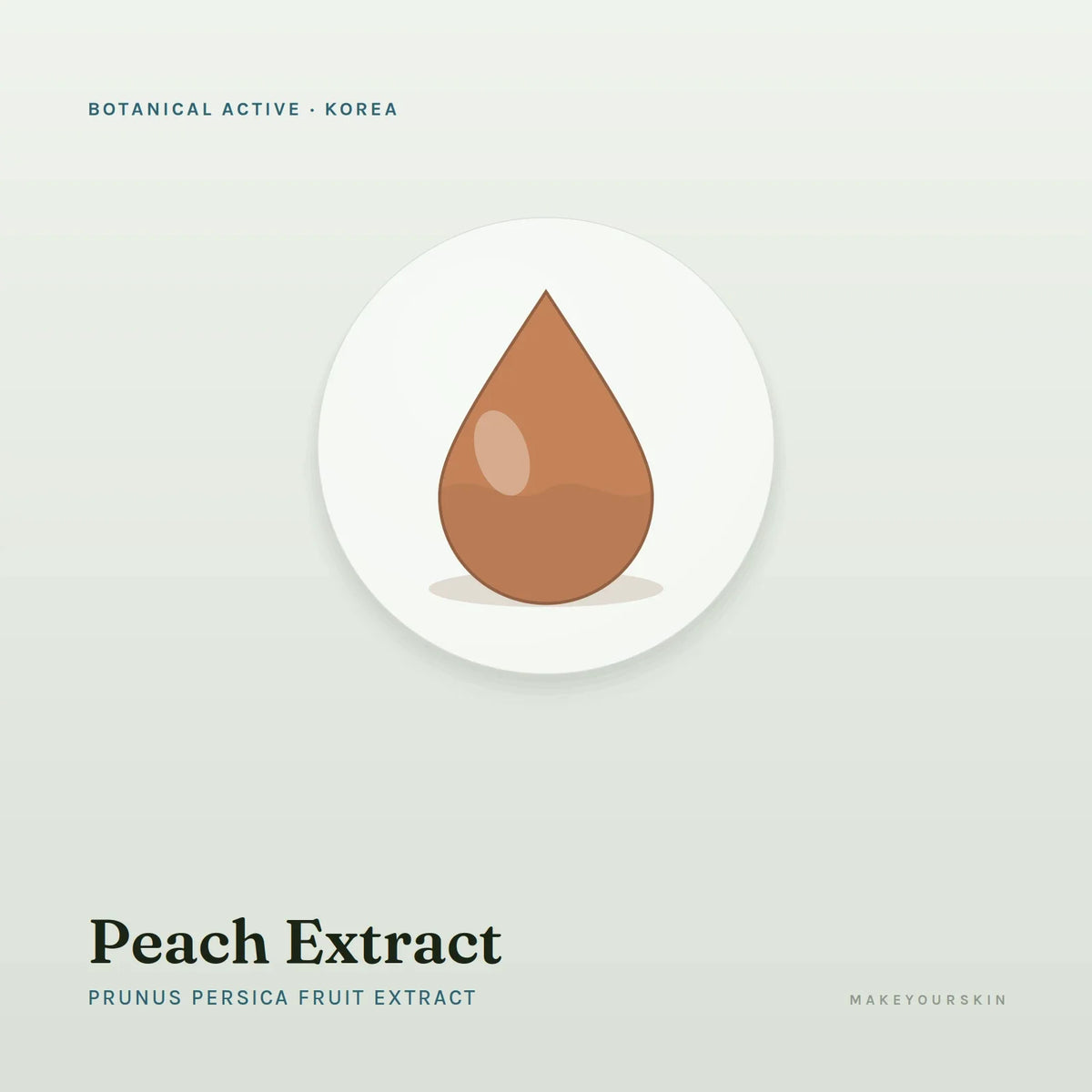 Peach Extract (Prunus Persica Fruit Extract) — liquid, Korea · K-Beauty — MakeYourSkin