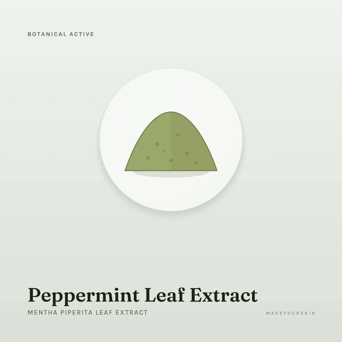 Peppermint Leaf Extract (Mentha Piperita Leaf Extract) — powder, Global — MakeYourSkin