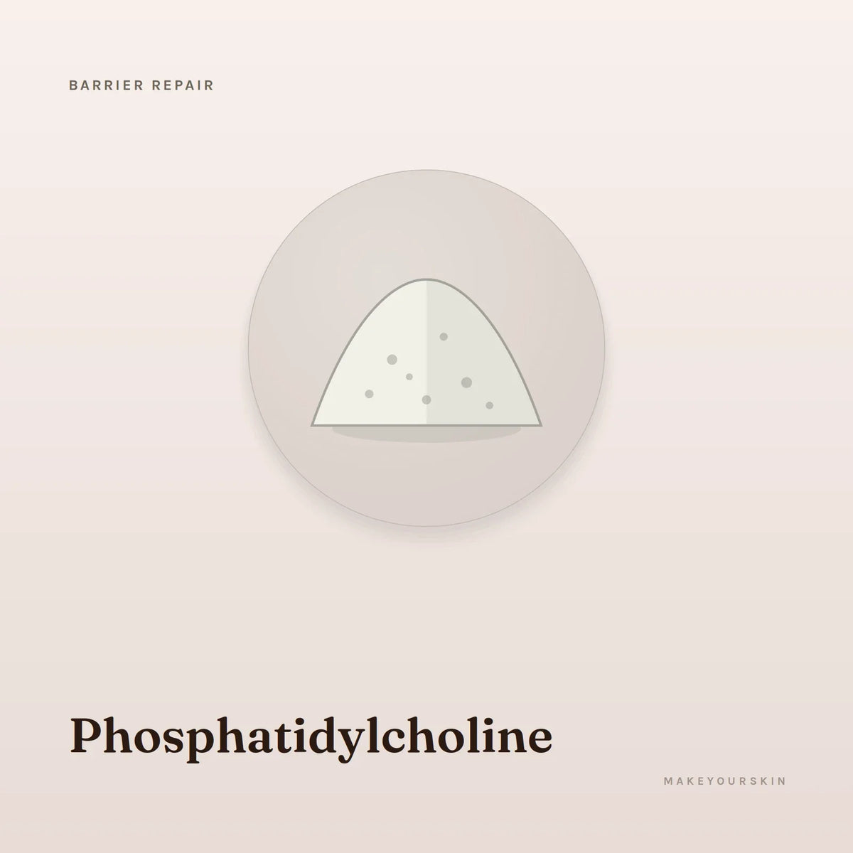 Phosphatidylcholine — powder, Global — MakeYourSkin