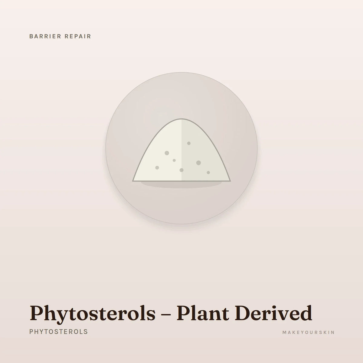 Phytosterols – Plant Derived (Phytosterols) — powder, Global — MakeYourSkin