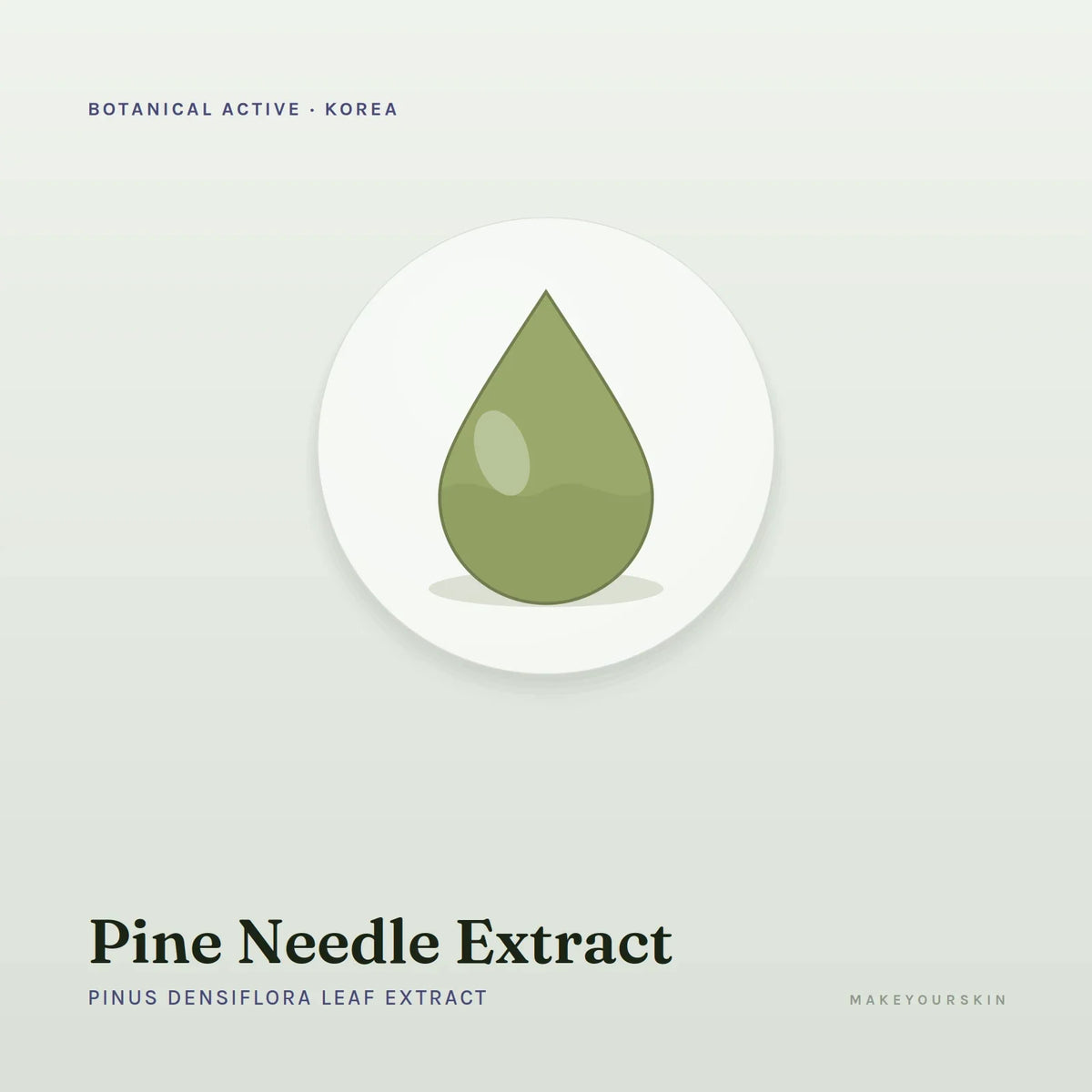 Pine Needle Extract (Pinus Densiflora Leaf Extract) — liquid, Korea · Japan — MakeYourSkin