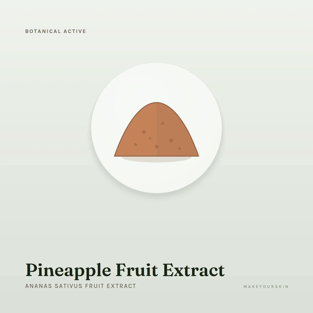 Pineapple Fruit Extract (Ananas Sativus Fruit Extract) — powder, Global — MakeYourSkin