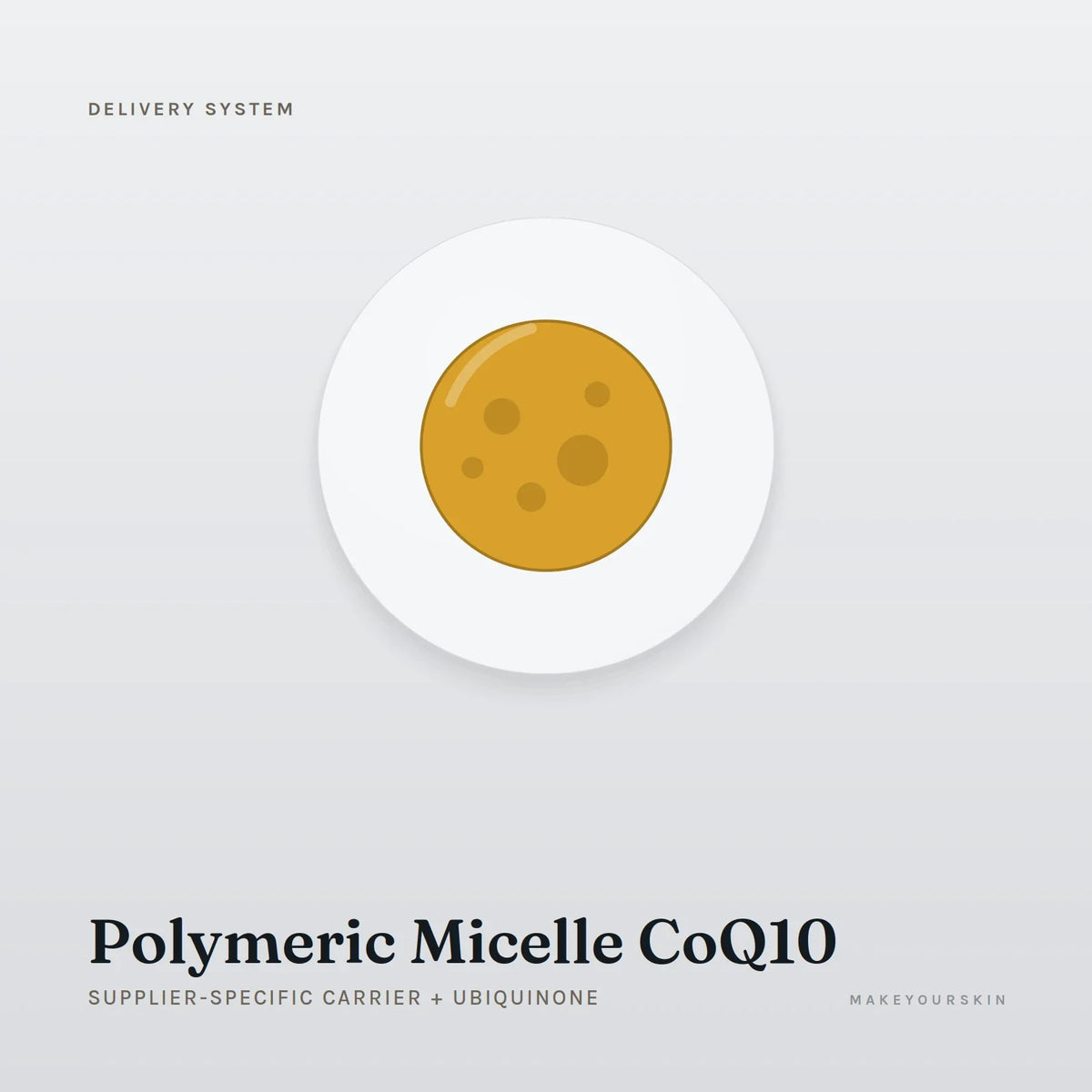 Polymeric Micelle CoQ10 (Supplier-specific carrier + Ubiquinone) — dispersion, Global — MakeYourSkin